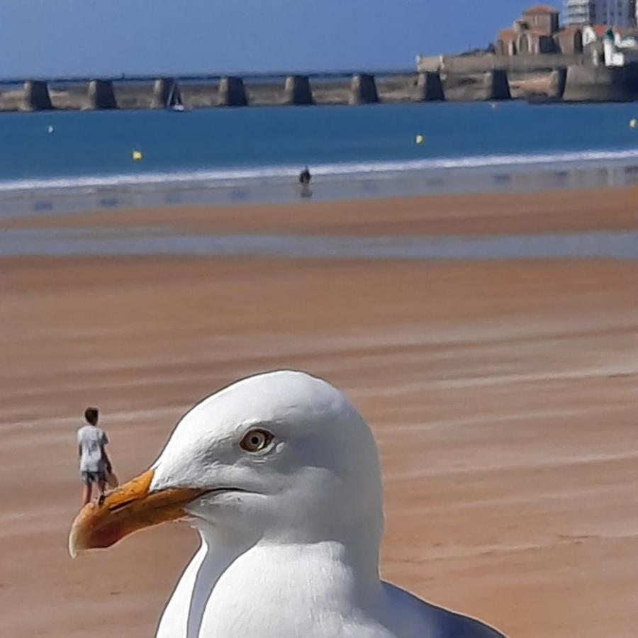 Appartement Vue Sur Mer Les Sables-dʼOlonne Exteriér fotografie